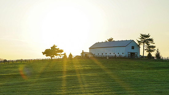 Animal Health_2_550X310 jpg.jpg
