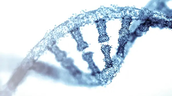 GeneSlider_dna_spiral.jpg