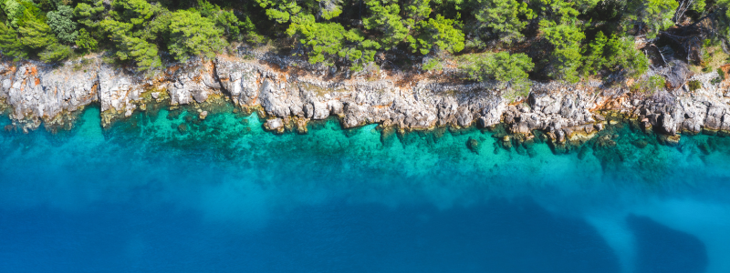 istock-1370539524_coastline_water_trees_800x300.png