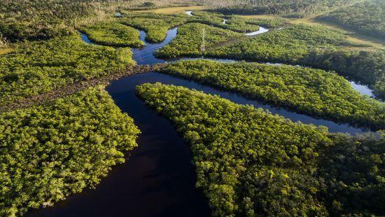iStock-697292990_aerial_winding_forest_river_Crop_550x310.jpg