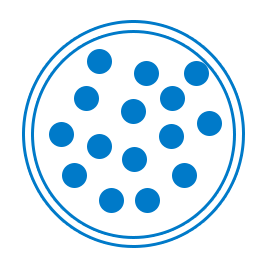 Icon of a pepperoni pizza.