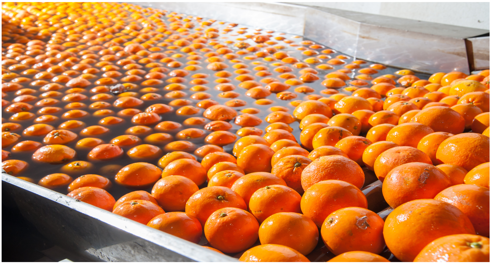 produce.png