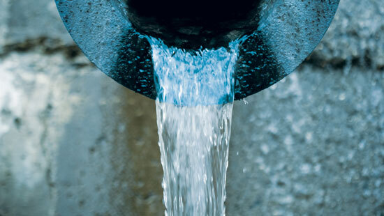 WFI-prgm-header-image.jpg